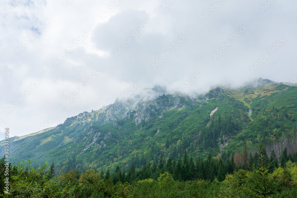 Thick fog over the Tatra mountains in summer