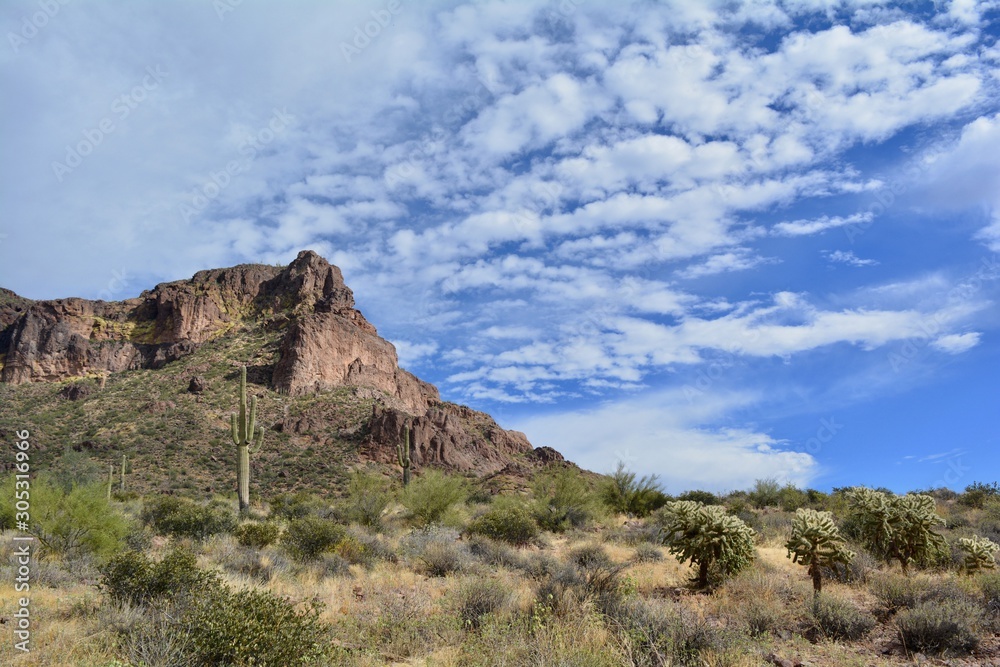 Gold Canyon Arizona Desert Superstition Mountains