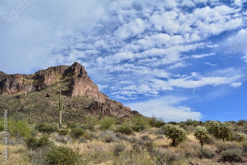 Gold Canyon Arizona Desert Superstition Mountains