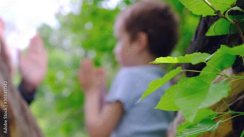 Happy family. Handsome mother and cute kid son holding hands together at lawn clapping hands. kid. Happy family. Handsome mother and cute kid son holding hands together at lawn clapping hands. kid.