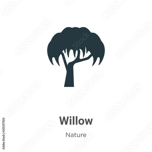 Willow vector icon on white background. Flat vector willow icon symbol sign from modern nature collection for mobile concept and web apps design.