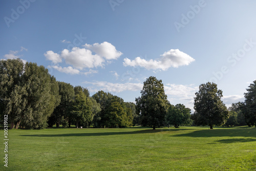 Fototapeta Naklejka Na Ścianę i Meble -  Green Lawn And Trees With Blue Sky At The Public Park