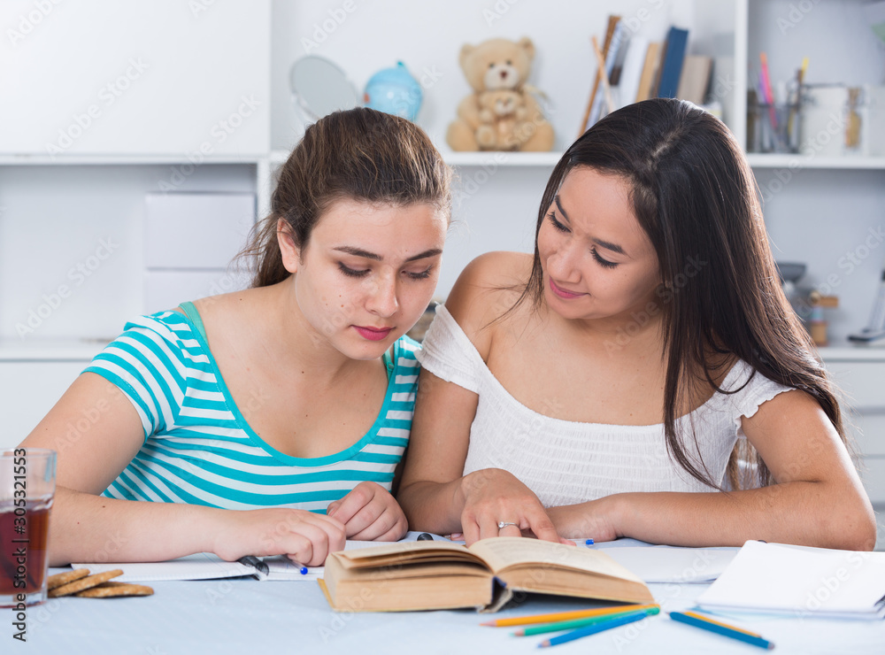Fototapeta premium Teenagers girls studying at home