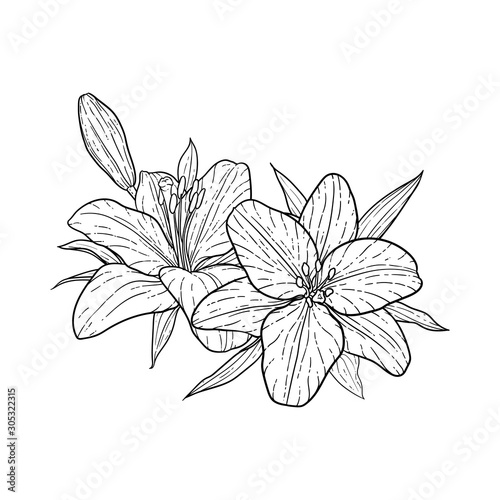 Φωτογραφία beautiful monochrome black and white bouquet lily isolated on background