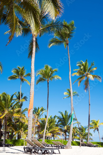 Wallpaper Mural beautiful solar beach Torontodigital.ca