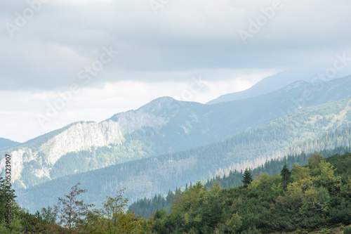 Tatras Mountains covered by green pine forests, Poland