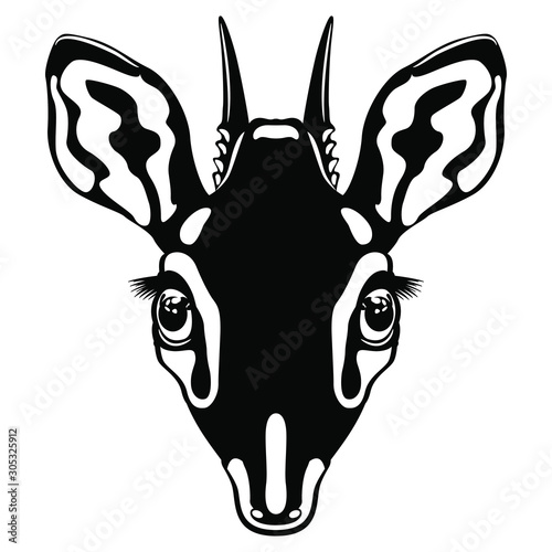 Isolated vector illustration. Stylized head of dik-dik. African antelope. (Madoqua). Black and white silhouette.