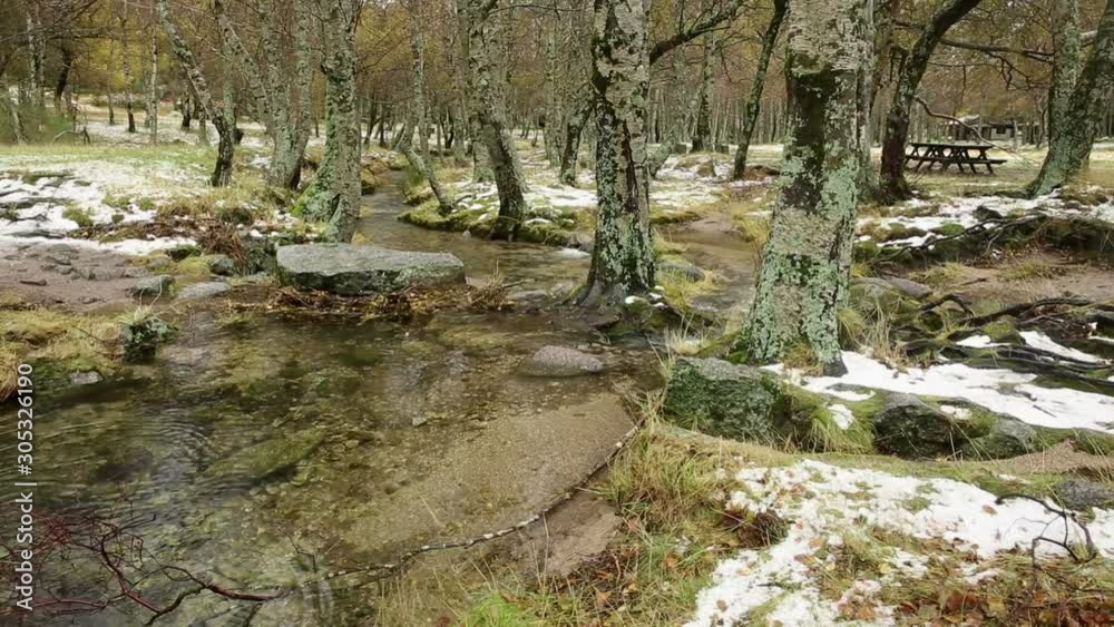 a stream in a snowy forest - Covao da Ametade (Manteigas), Guarda district, Portugal