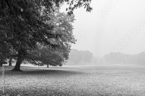 central park em manhattan no outono photo