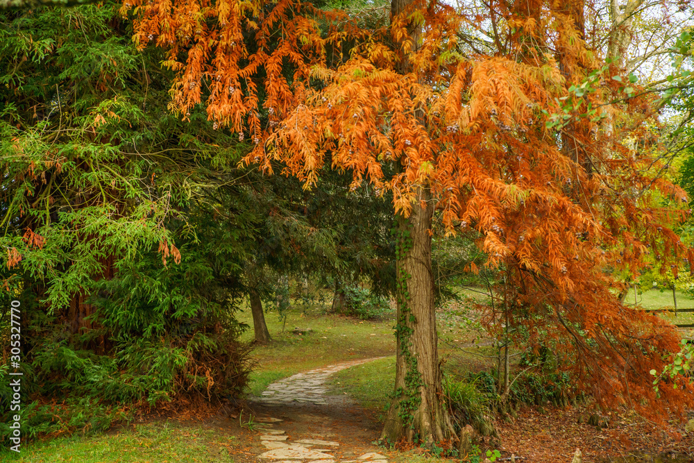 Small stone path among the trees with autumnal colors