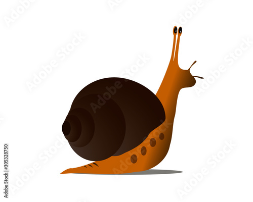 Vector snail isolated on white background