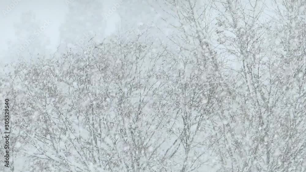 真冬 雪が降る 雪国 大雪 イメージ スロー 真冬 雪が降る 雪国 大雪 イメージ スロー