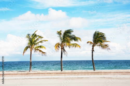 Fototapeta Naklejka Na Ścianę i Meble -  Palm trees on the beach