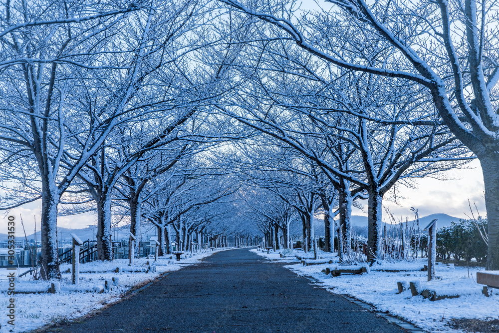 雪の少ない地域でも、数年に一度こんな景色を目にする事ができます。 雪の少ない地域でも、数年に一度こんな景色を目にする事ができます。