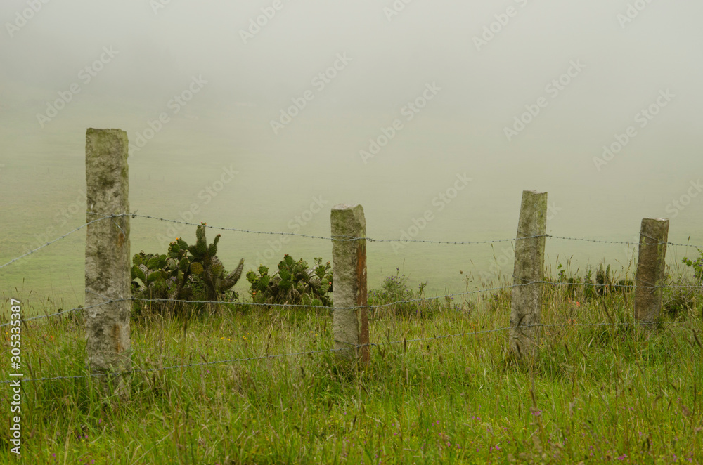 Wire fence in a foggy meadow