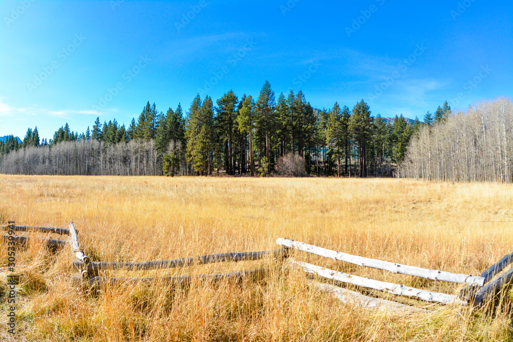 Obraz premium Fied with fence and pine trees in the back