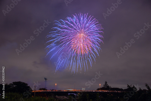 Japanese fireworks display
