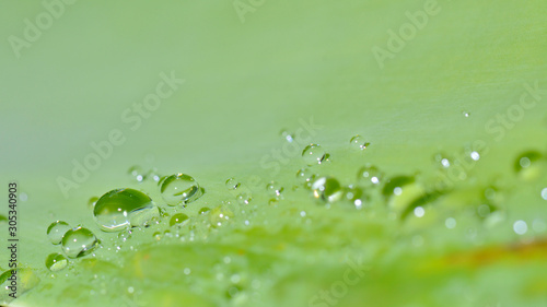 Water drop in green leaf with empty space for text