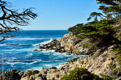 Ocean view in Carmel by the Sea