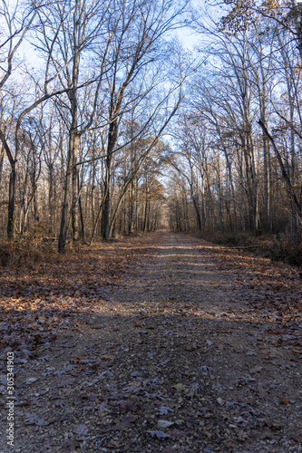Gravel Backroad Trail in Land Between the Lakes in the Fall