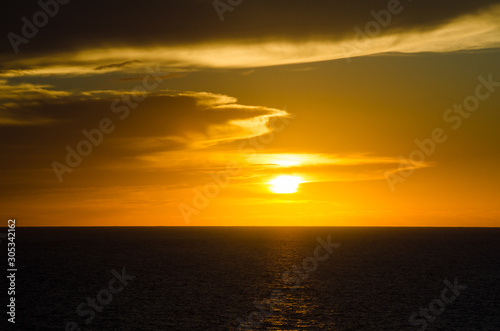 Caribbean - Sunset - flower