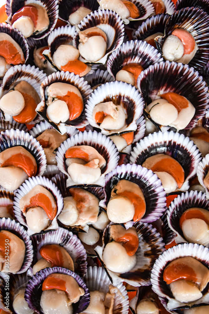 Lima, Peru - Nov 17, 2019: Fresh scallops shellfish on sale at the Chorillos fish market Lima, Peru - Nov 17, 2019: Fresh scallops shellfish on sale at the Chorillos fish market