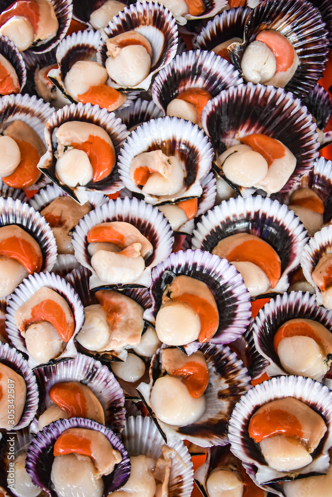 Lima, Peru - Nov 17, 2019: Fresh scallops shellfish on sale at the Chorillos fish market Lima, Peru - Nov 17, 2019: Fresh scallops shellfish on sale at the Chorillos fish market