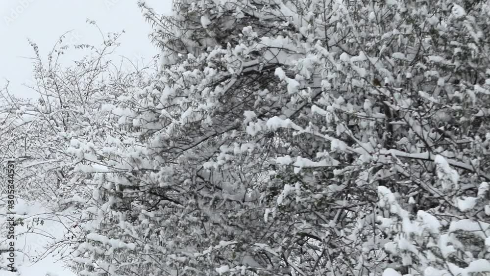 Travel slow motion shot of a heavy snowfall Travel slow motion shot of a heavy snowfall