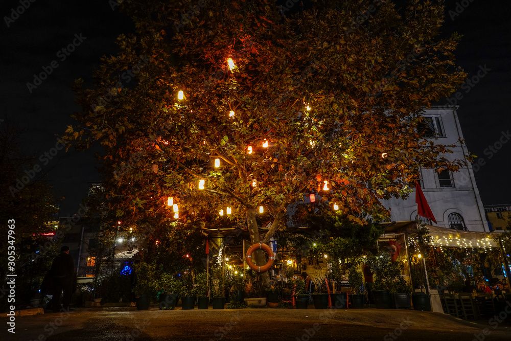 Istanbul, Turkey A tree iluminated with lanterns at the foot of the Galata bridge.