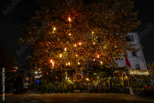 Istanbul  Turkey A tree iluminated with lanterns at the foot of the Galata bridge.