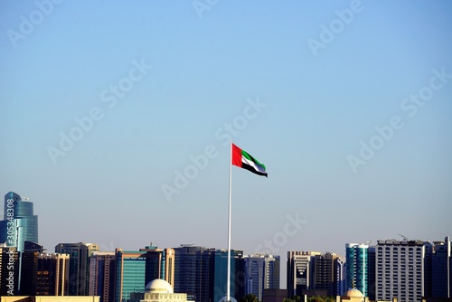 flags in front of urban city skyline