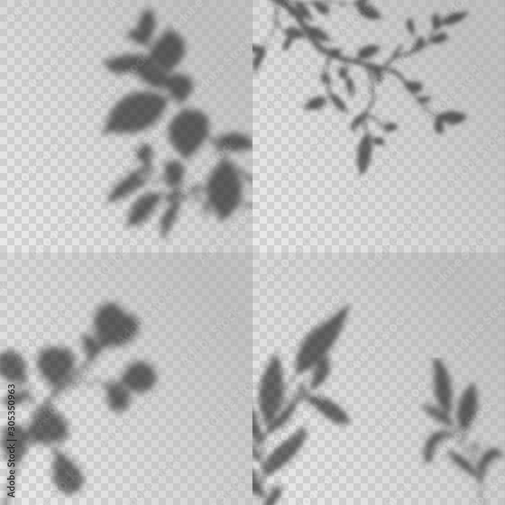 Overlay shadows. Transparent soft light, shadow leaves and plant branches natural lightning, decorative design elements creative mockup vector set - obrazy, fototapety, plakaty 