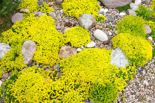 rockery rock garden