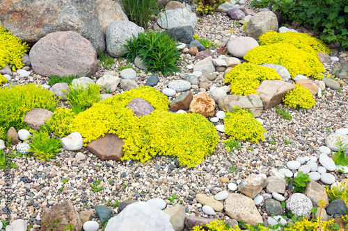 rockery rock garden