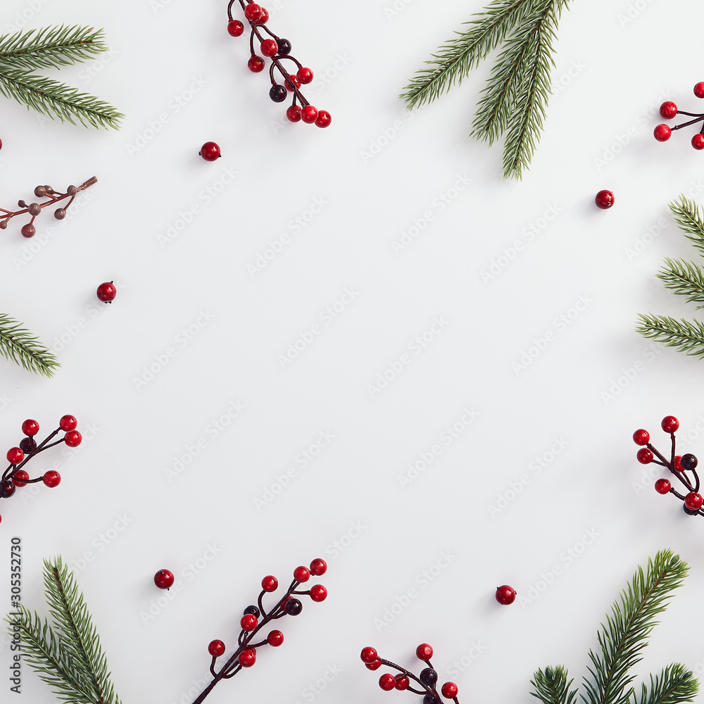 Evergreen tree branch and red berries Evergreen tree branch and red berries