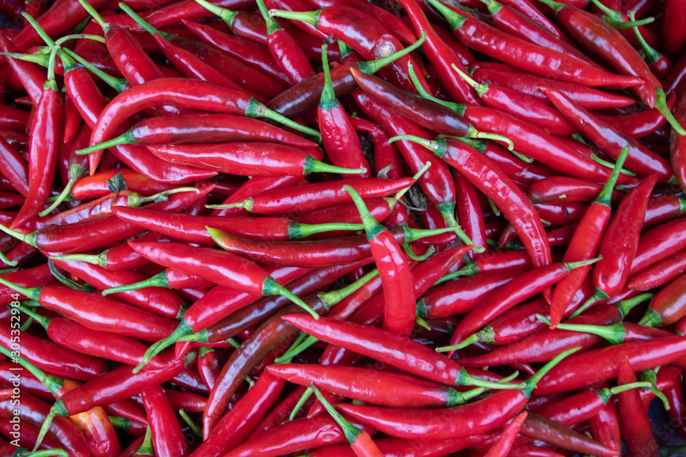 red peppers red peppers