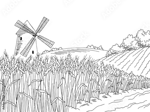 Wheat field graphic black white landscape sketch illustration vector