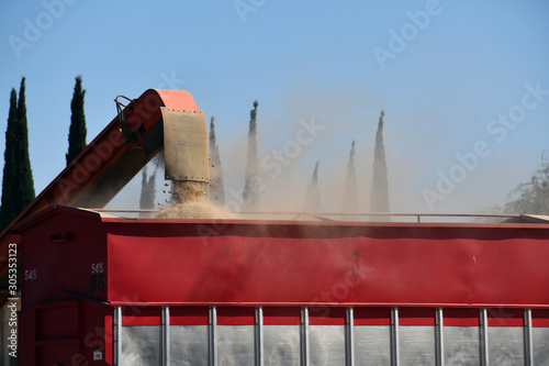 full truck of almonds being load at farm