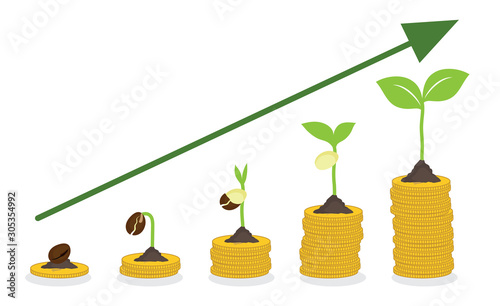 seeds are growing from ground. isolated growth step of plant on coin money