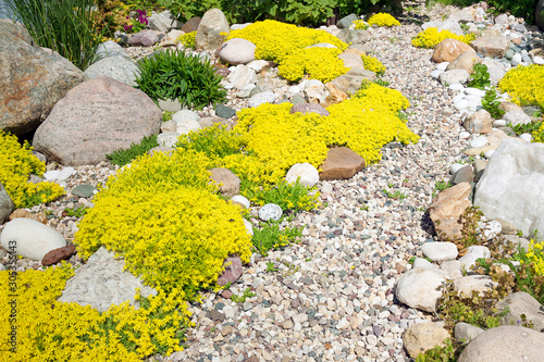 rockery rock garden
