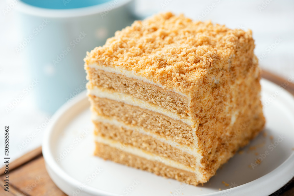Layered honey cake slice in square shape on a plate. Closeup view. Tasty delicious cake with pastry cream and honey biscuit layers Layered honey cake slice in square shape on a plate. Closeup view. Tasty delicious cake with pastry cream and honey biscuit layers