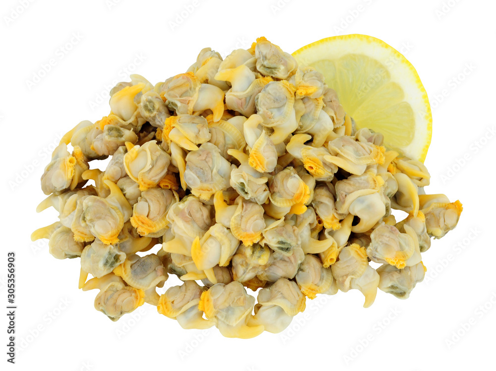 Pile of pickled cooked shelled cockle shellfish meat isolated on a white background Pile of pickled cooked shelled cockle shellfish meat isolated on a white background