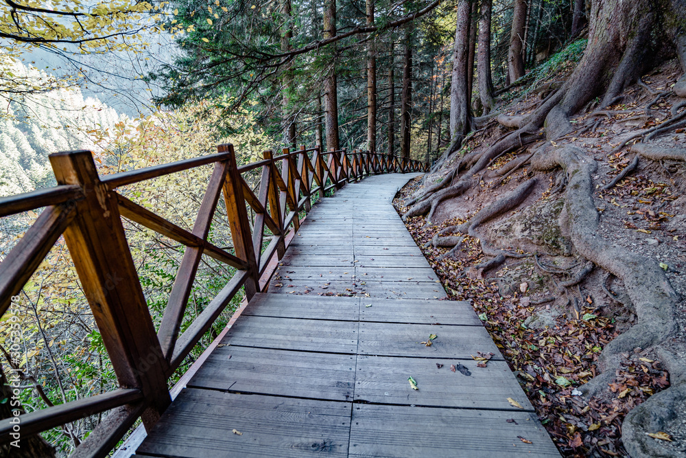 Fototapeta premium Wooden path with wooden railing for walking in the forest