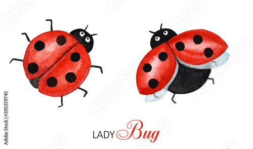 Watercolor ladybug set, flying bright cartoon insects. Funny red ladybird in flight. Greeting card concept with text. Isolated on white background