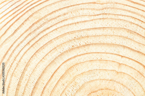 Wood rings close up, abstract background or texture