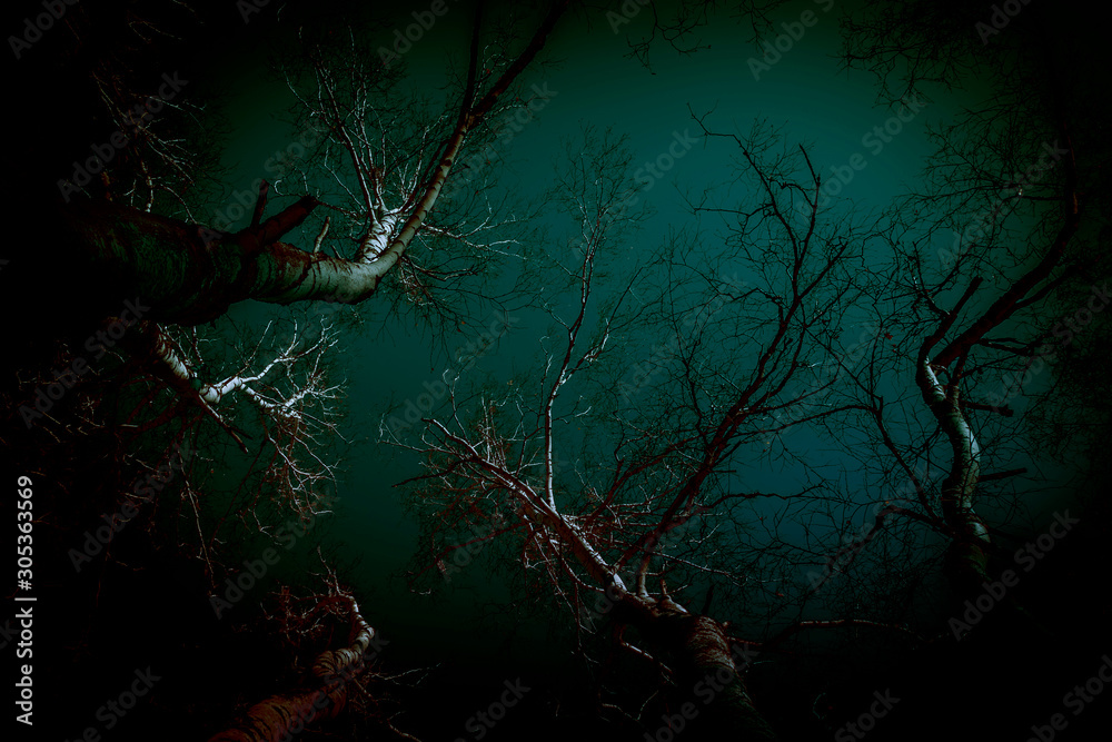Abstract background in horror style. Bloody surrealistic scary black creepy  mystical curved silhouettes of tree branches in the forest lit by a ghostly  moon mysterious light, gloomy dark night sky Stock Photo |