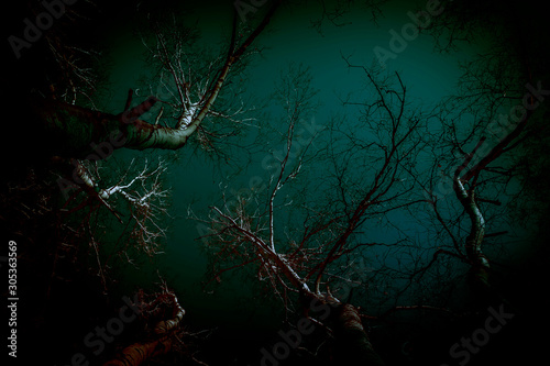 Canvas Print Abstract background in horror style