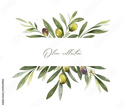 Fotografiet Watercolor vector banner of olive branches and leaves.