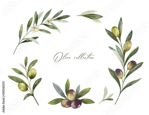 Watercolor vector frame of olive branches and leaves.