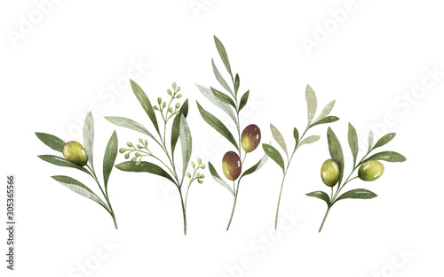 Watercolor vector bouquet of olive branches and flowers. photo